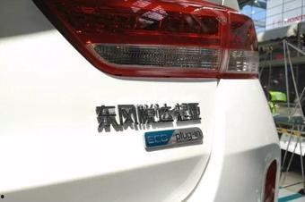 国产天天插  第2张