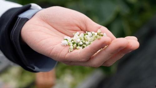 亚洲 国产 熟,国产熟品鉴之旅 第2张 亚洲 国产 熟,国产熟品鉴之旅 第2张